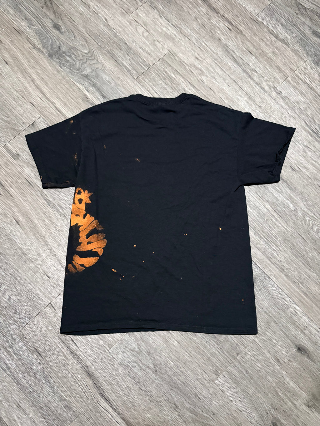 Lizard (size: large)