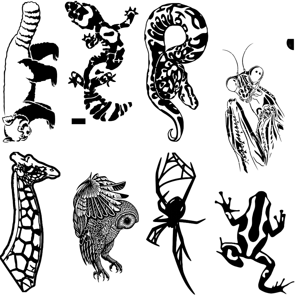 Animal stencil designs